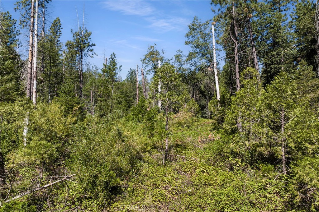 0 Tranquility/skyway Property Photo 9