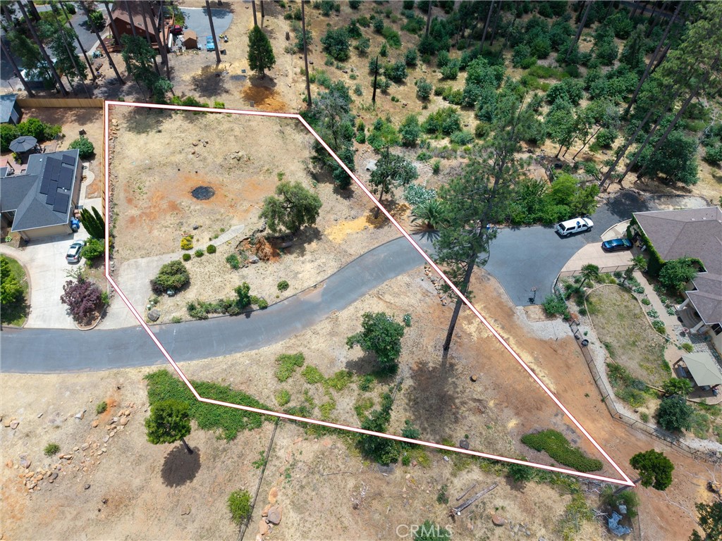 1820 Amore Property Photo 3