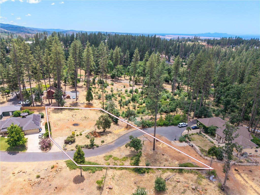 1820 Amore Property Photo 4