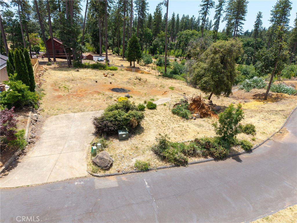 1820 Amore Property Photo 5