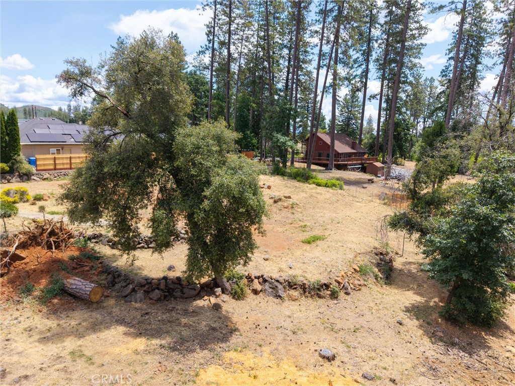 1820 Amore Property Photo 6