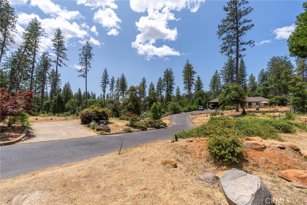 1820 Amore Property Photo 8