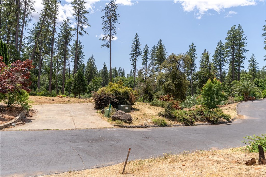 1820 Amore Property Photo 9