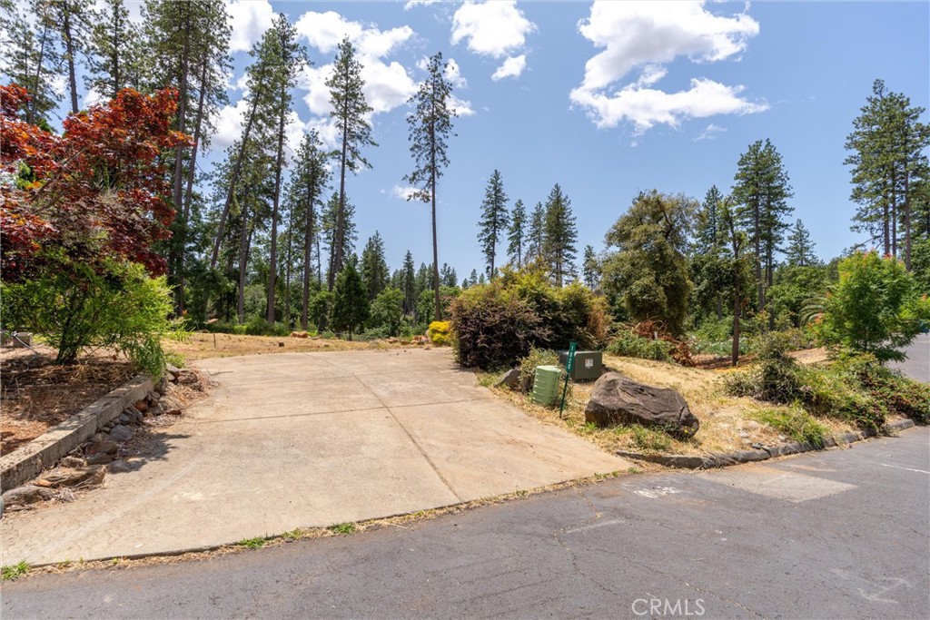 1820 Amore Property Photo 10