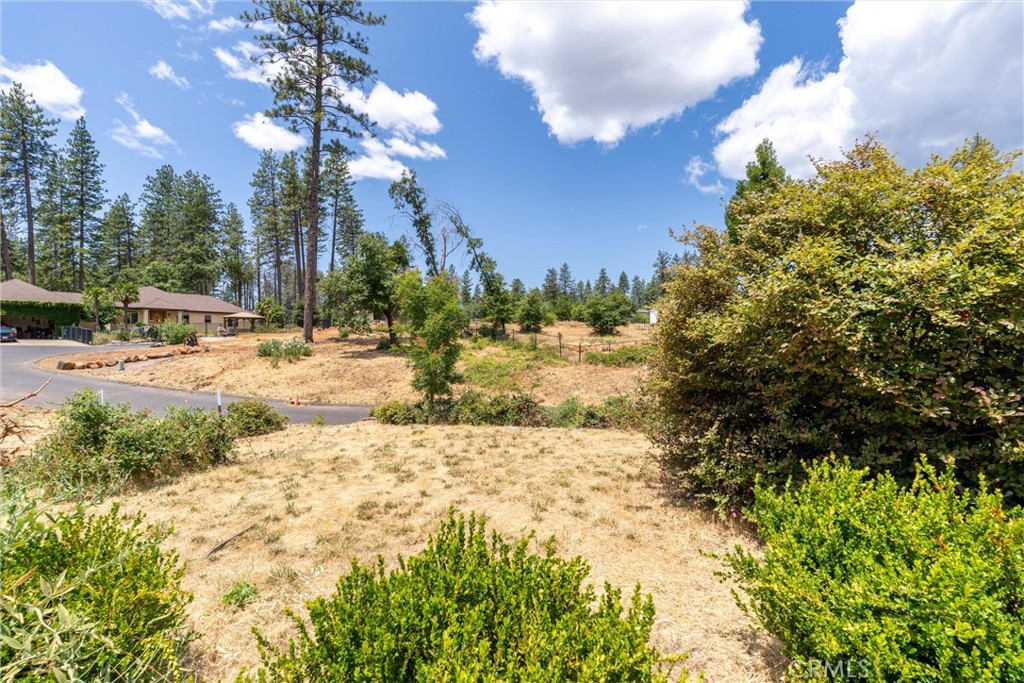 1820 Amore Property Photo 12