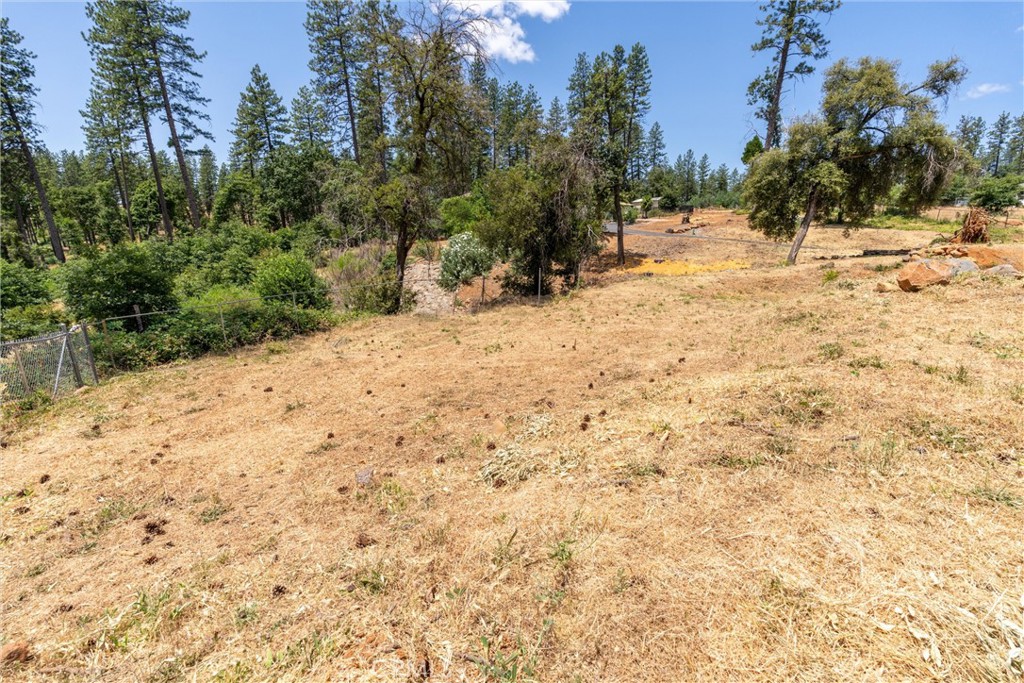 1820 Amore Property Photo 18