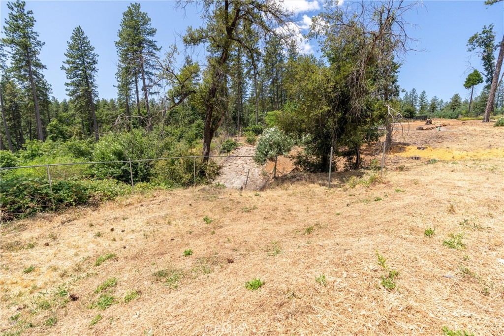 1820 Amore Property Photo 20