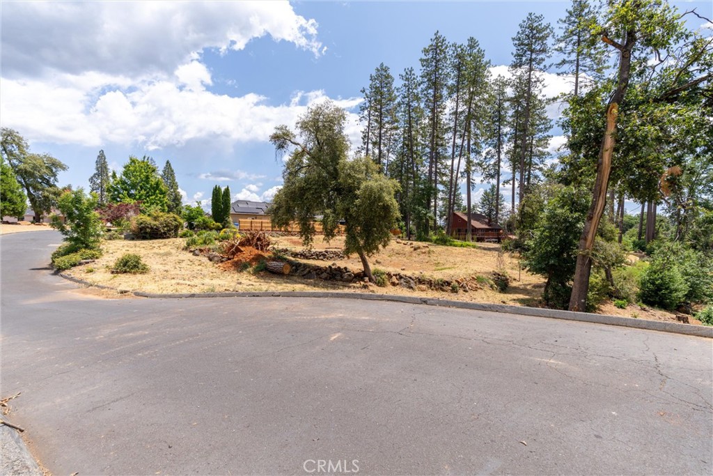 1820 Amore Property Photo 23