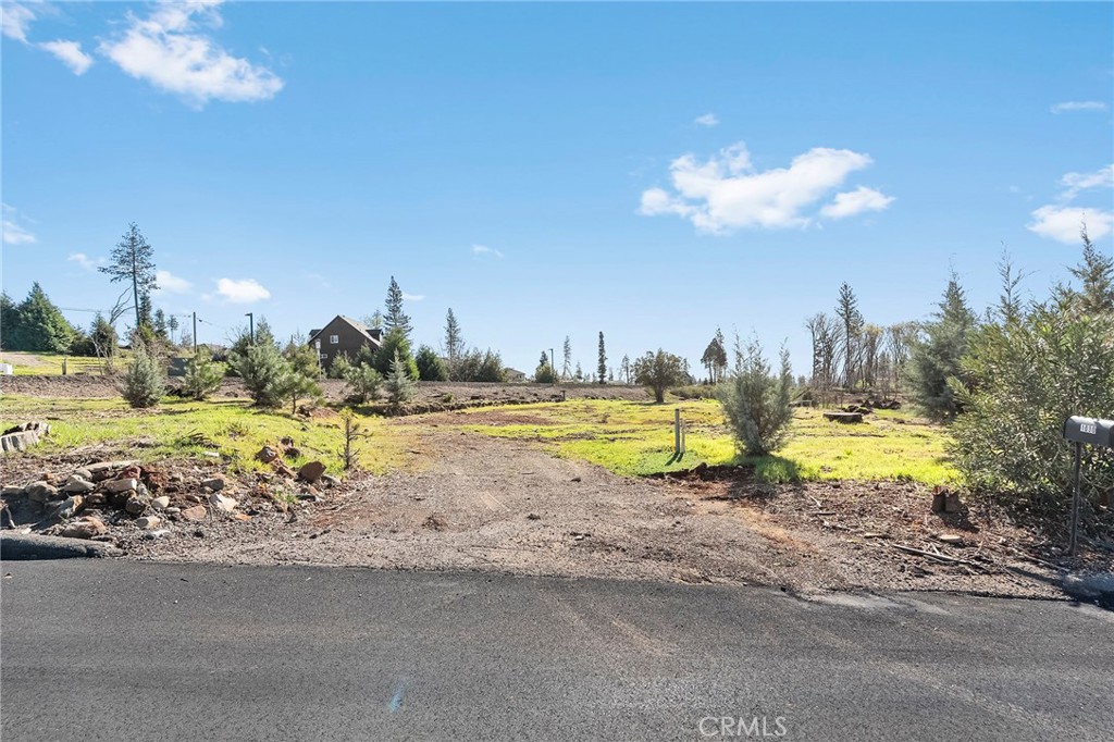 1030 Bille Property Photo 3