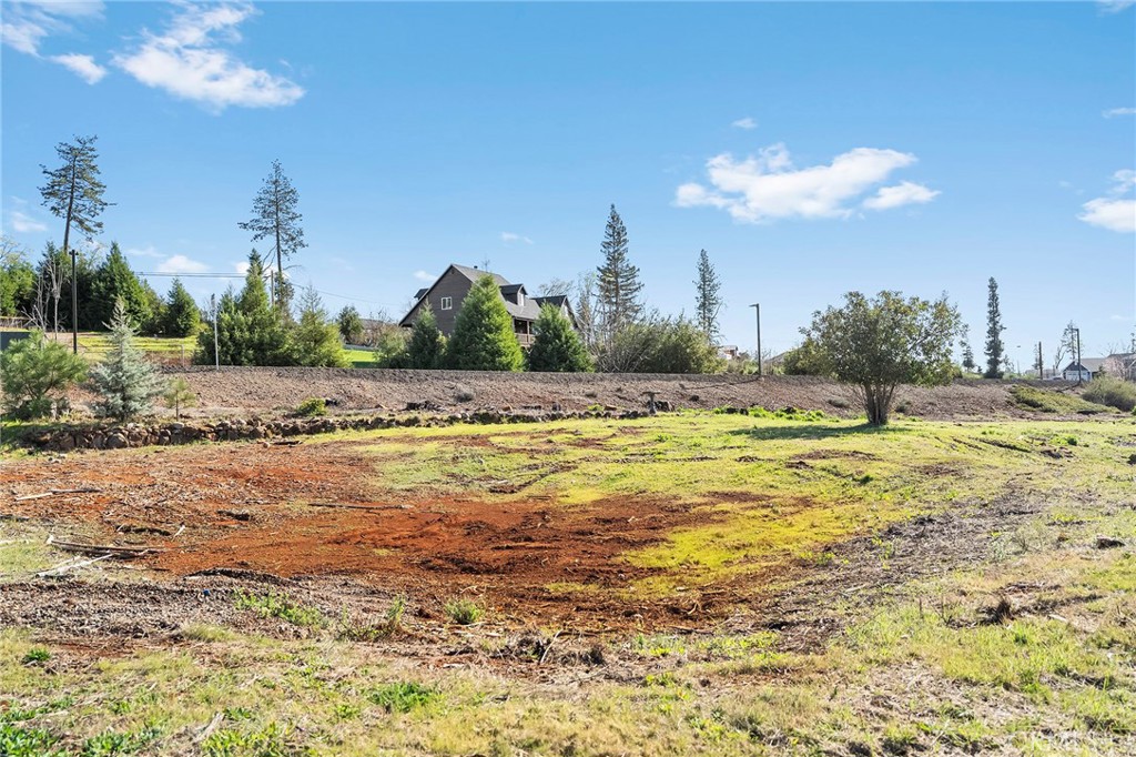 1030 Bille Property Photo 4