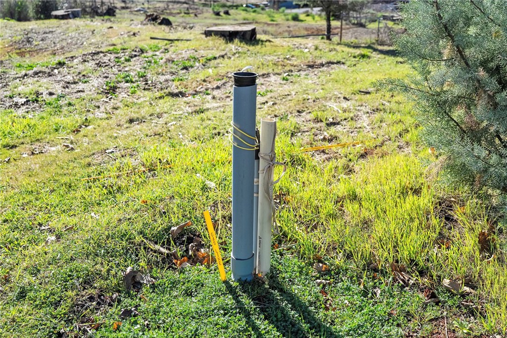 1030 Bille Property Photo 7