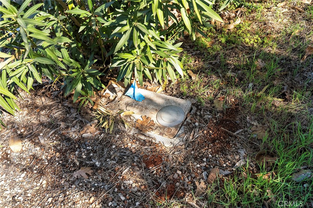 1030 Bille Property Photo 8