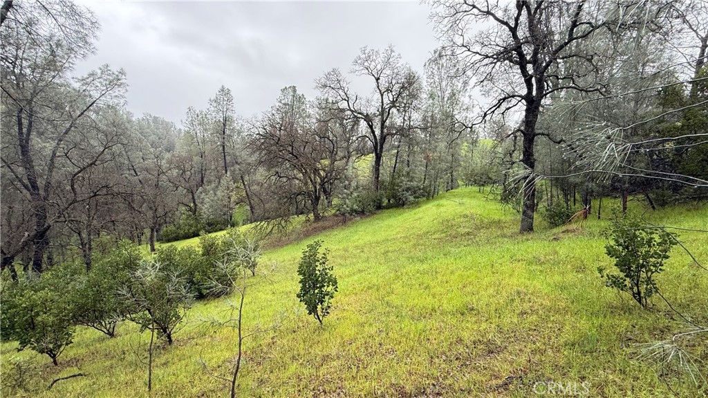 16370 Oakridge Road Property Photo 1