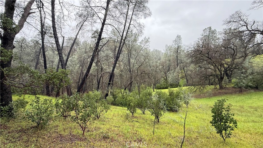 16370 Oakridge Road Property Photo 3