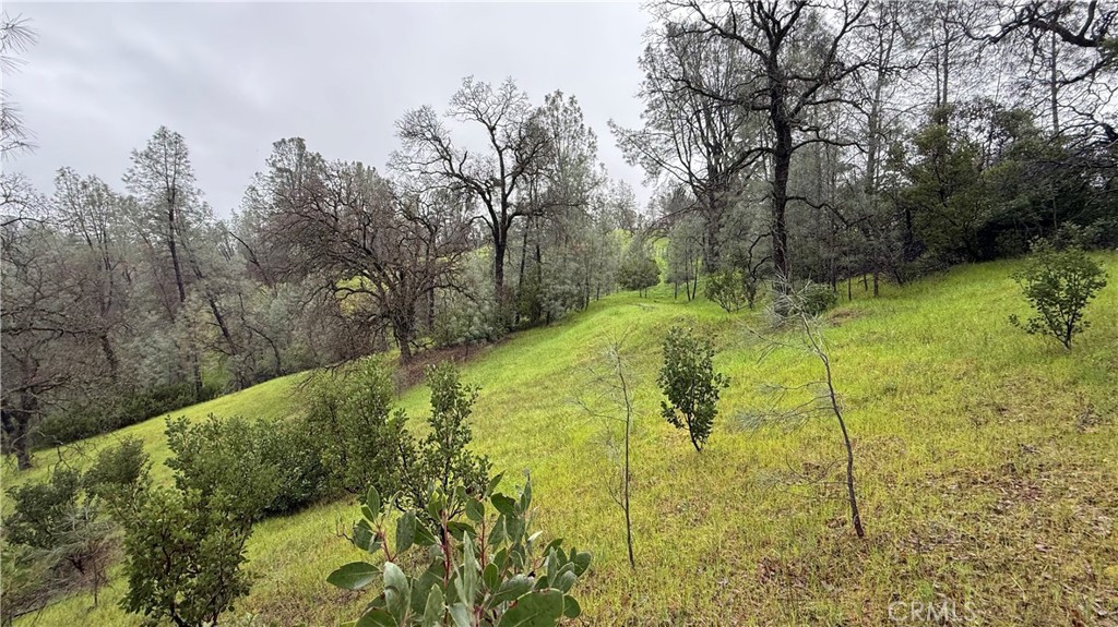 16370 Oakridge Road Property Photo 4