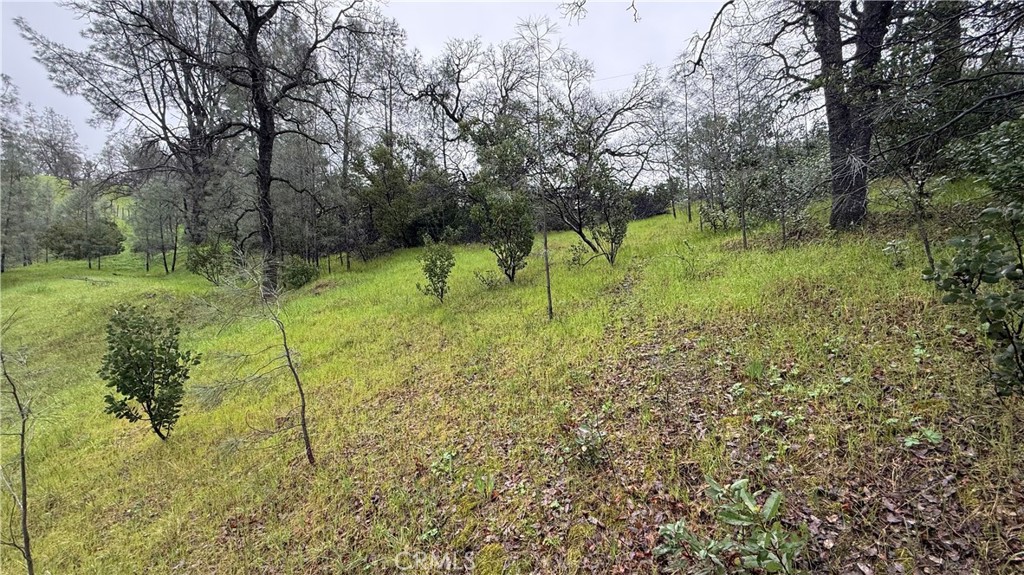 16370 Oakridge Road Property Photo 5
