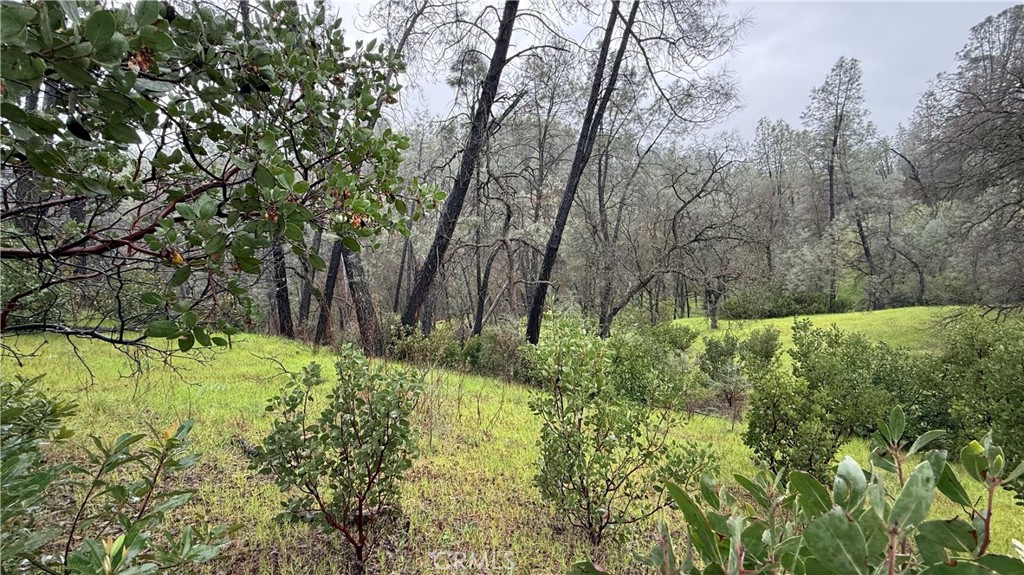 16370 Oakridge Road Property Photo 6