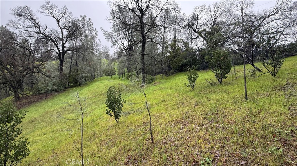 16370 Oakridge Road Property Photo 7