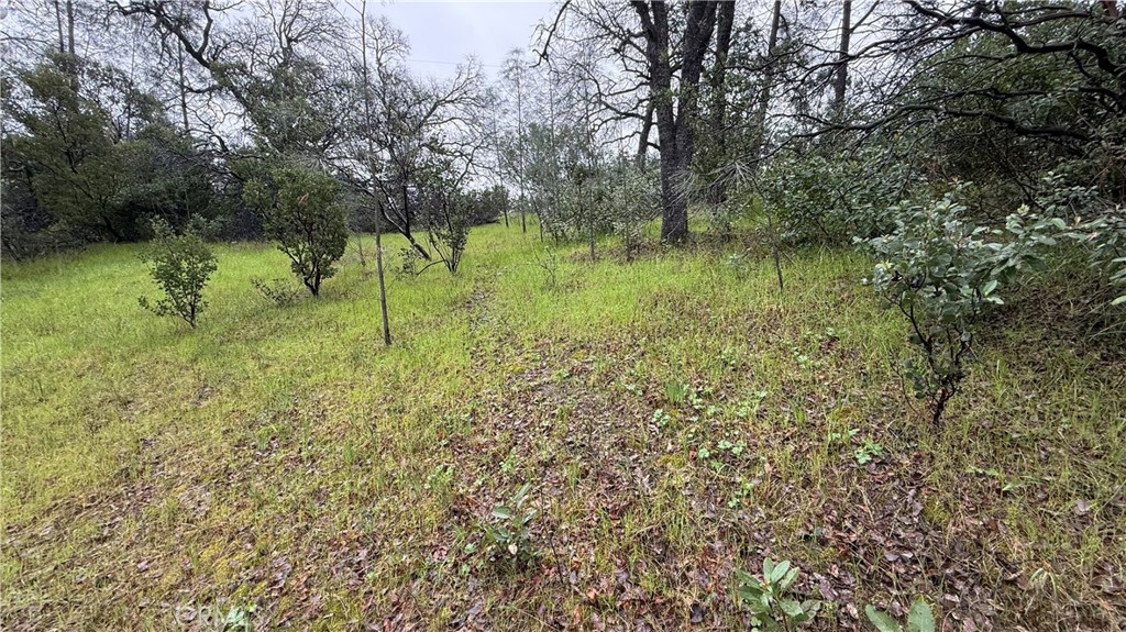 16370 Oakridge Road Property Photo 8