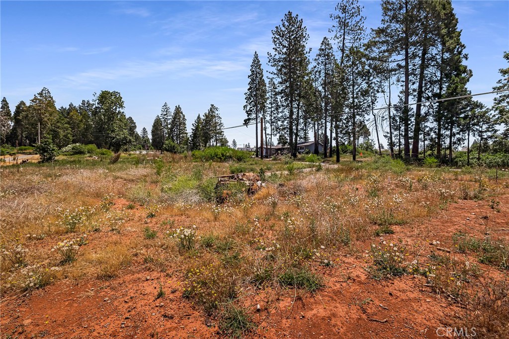 6435 Ponderosa Property Photo 7