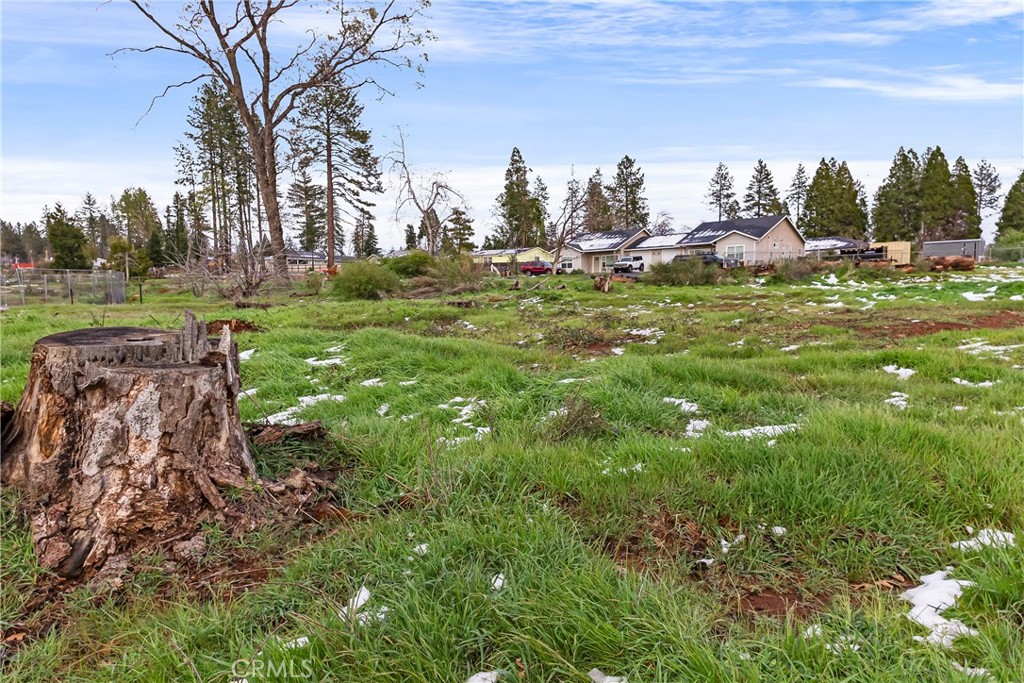1087 Pearson Property Photo 7