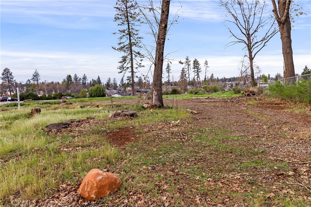 1087 Pearson Property Photo 9