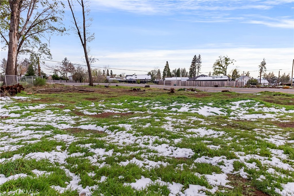 1087 Pearson Property Photo 11