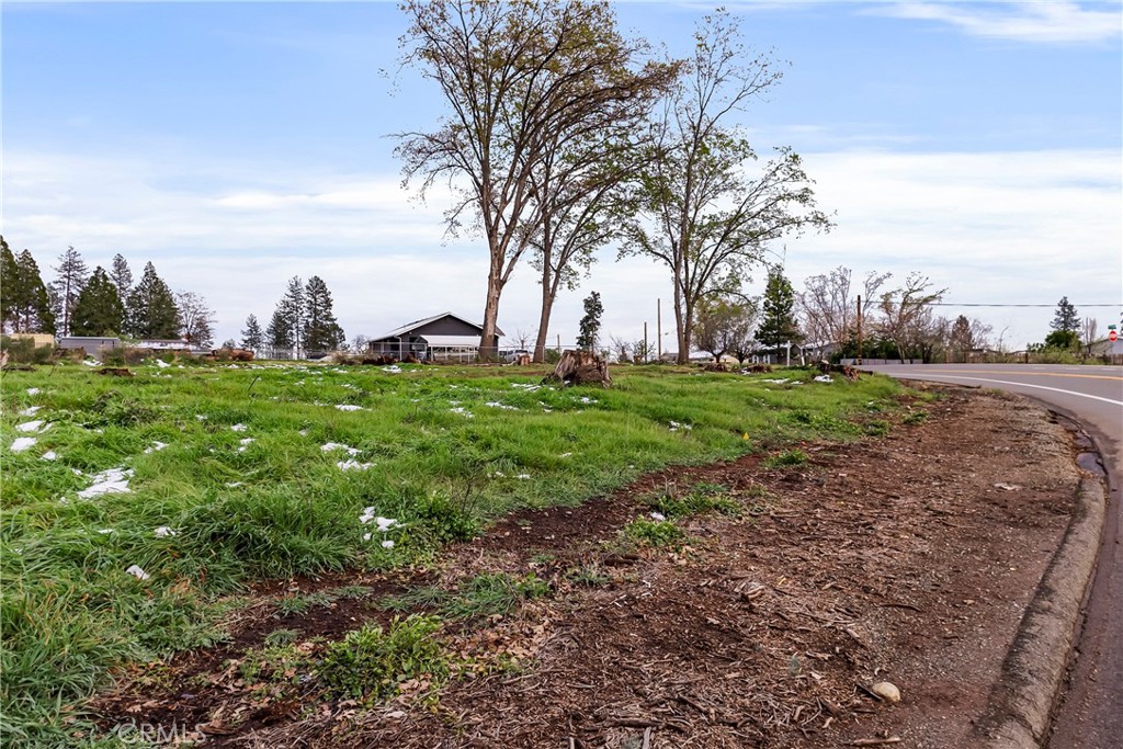 1087 Pearson Property Photo 13