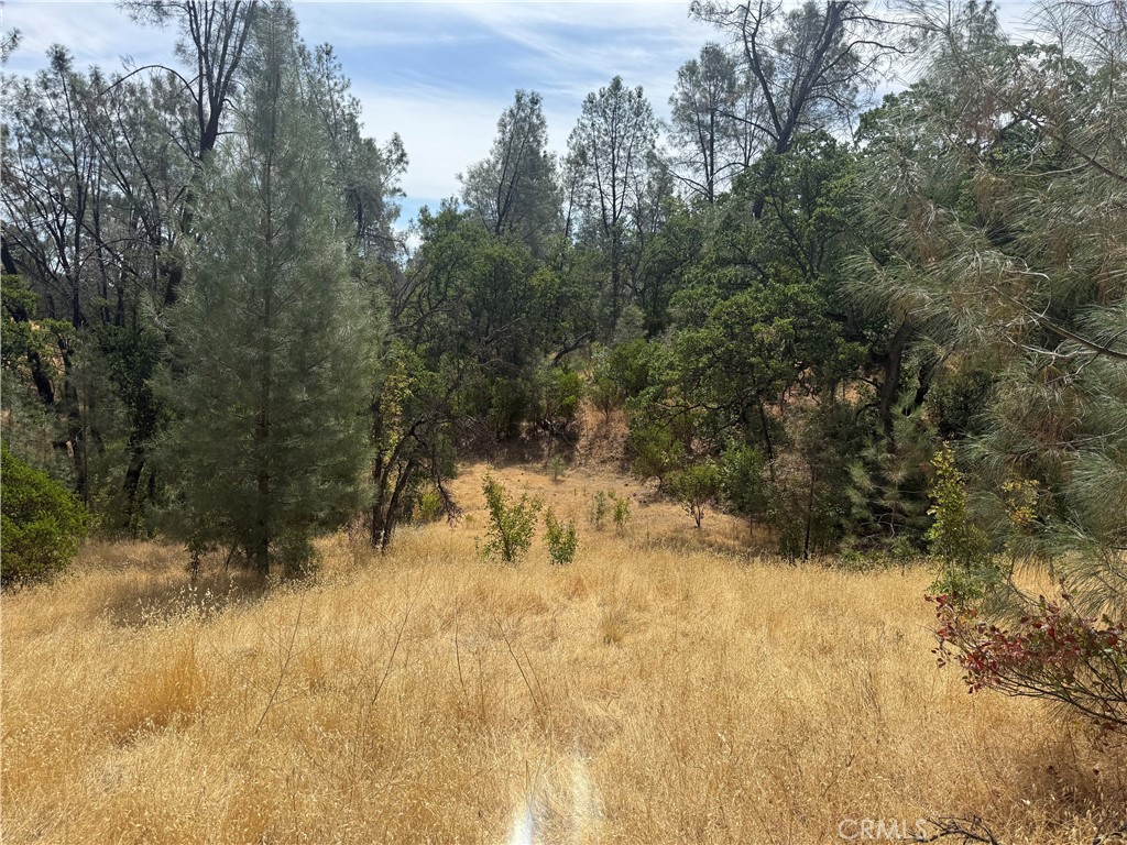 16295 Hillcrest Drive Property Photo 1