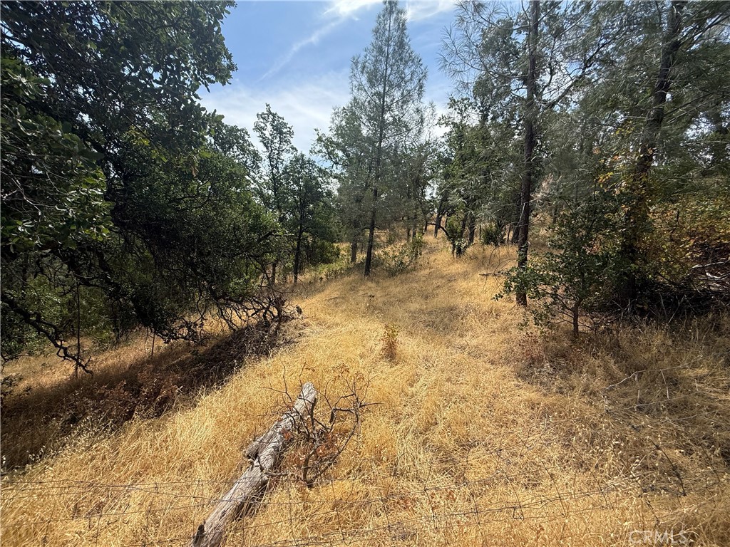 16295 Hillcrest Drive Property Photo 2