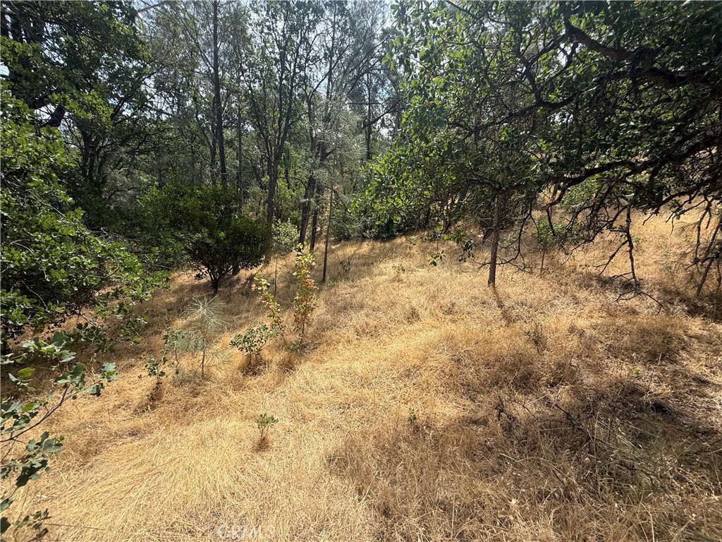 16295 Hillcrest Drive Property Photo 3
