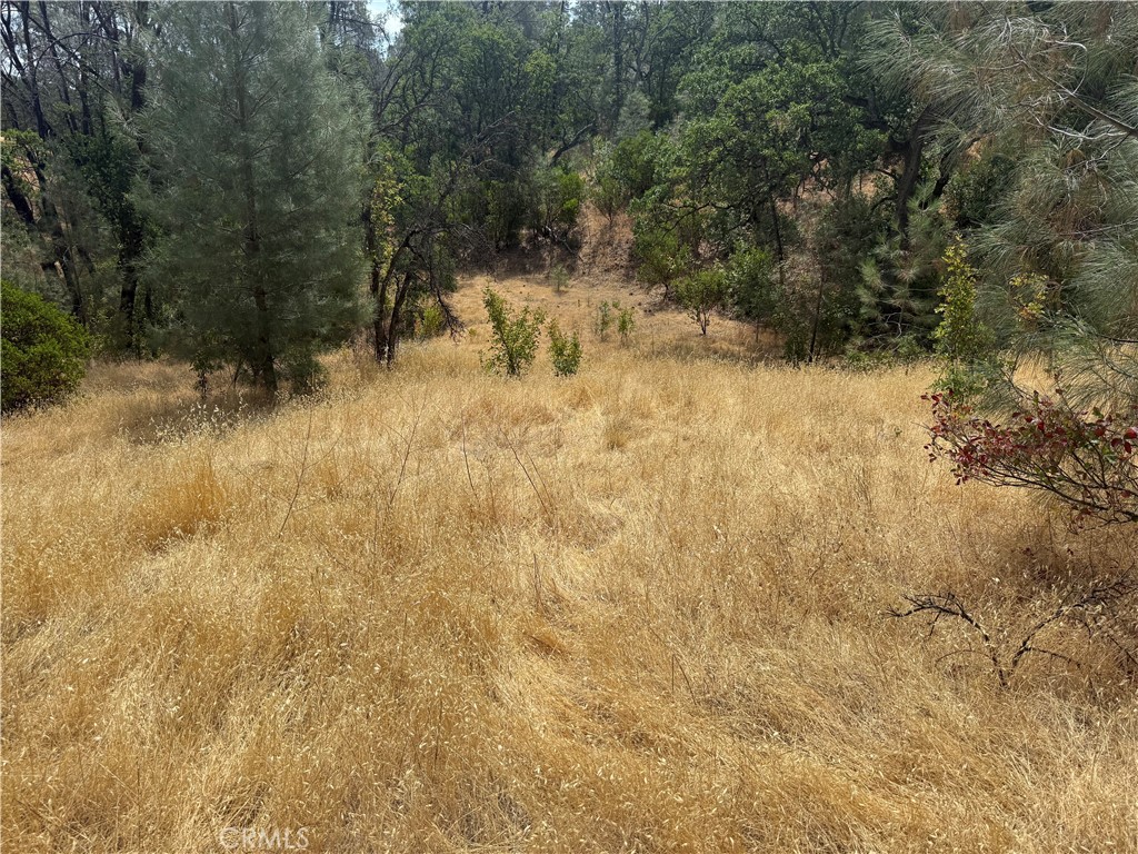 16295 Hillcrest Drive Property Photo 4
