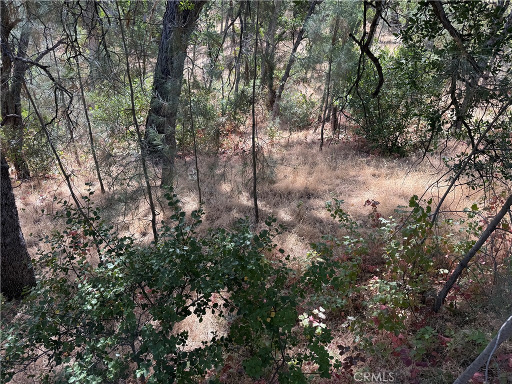 16305 Hillcrest Drive Property Photo 2