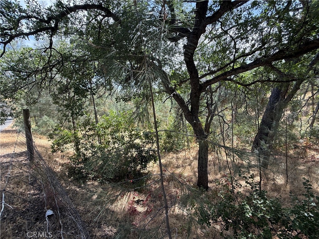 16305 Hillcrest Drive Property Photo 3