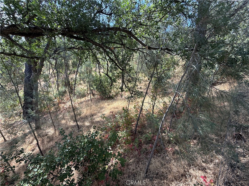 16305 Hillcrest Drive Property Photo 4