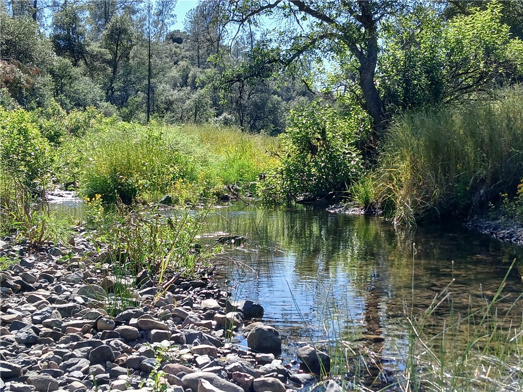 0 Hidden Oak Property Photo 3
