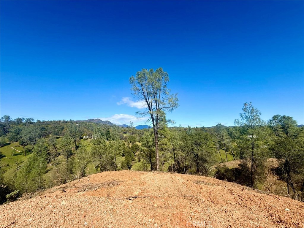 0 Hidden Oak Property Photo 15