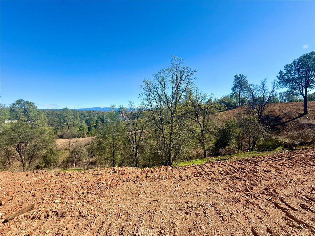 0 Hidden Oak Property Photo 16
