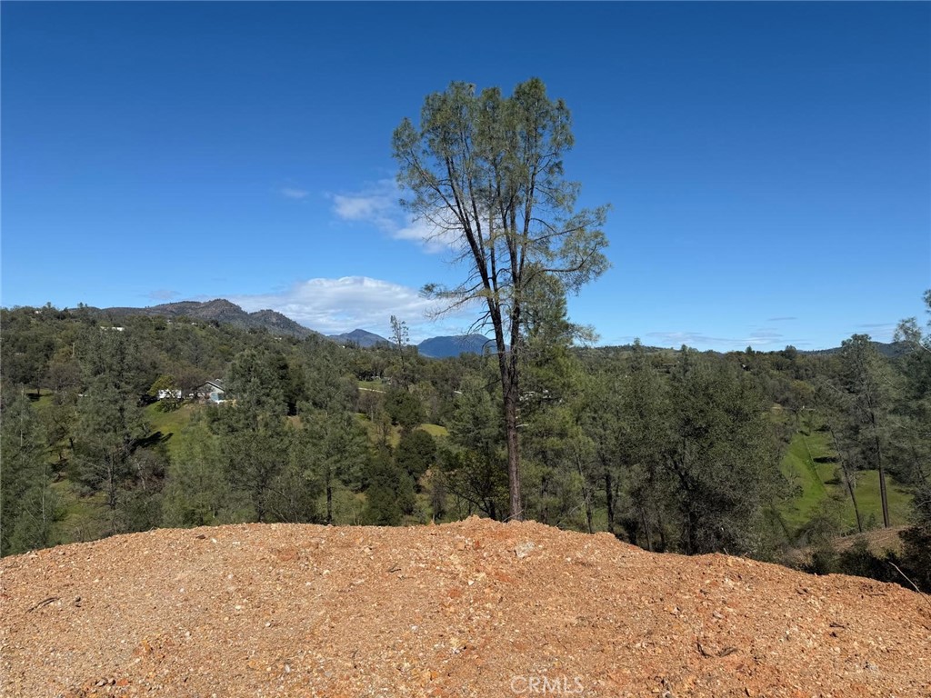 0 Hidden Oak Property Photo 17