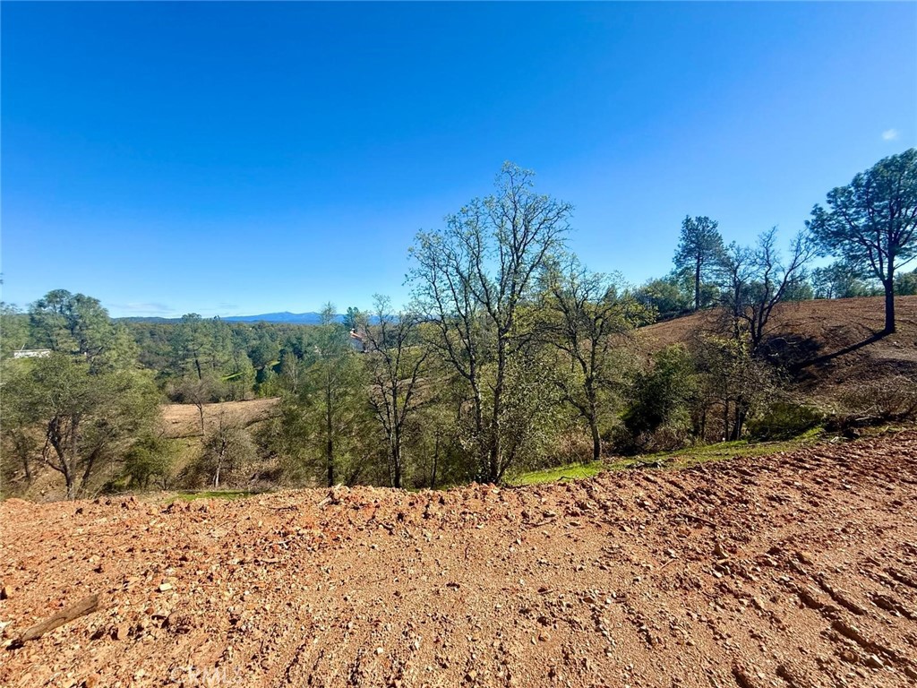 0 Hidden Oak Property Photo 37