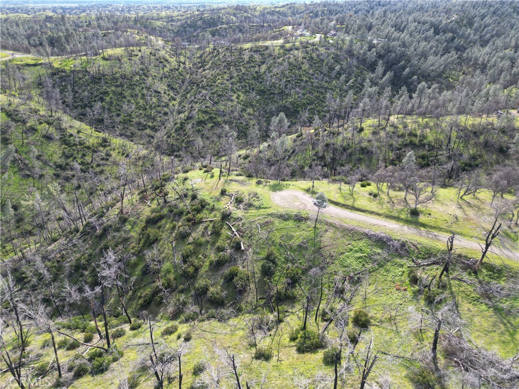 7074 Sugar Pine Court Property Photo 19