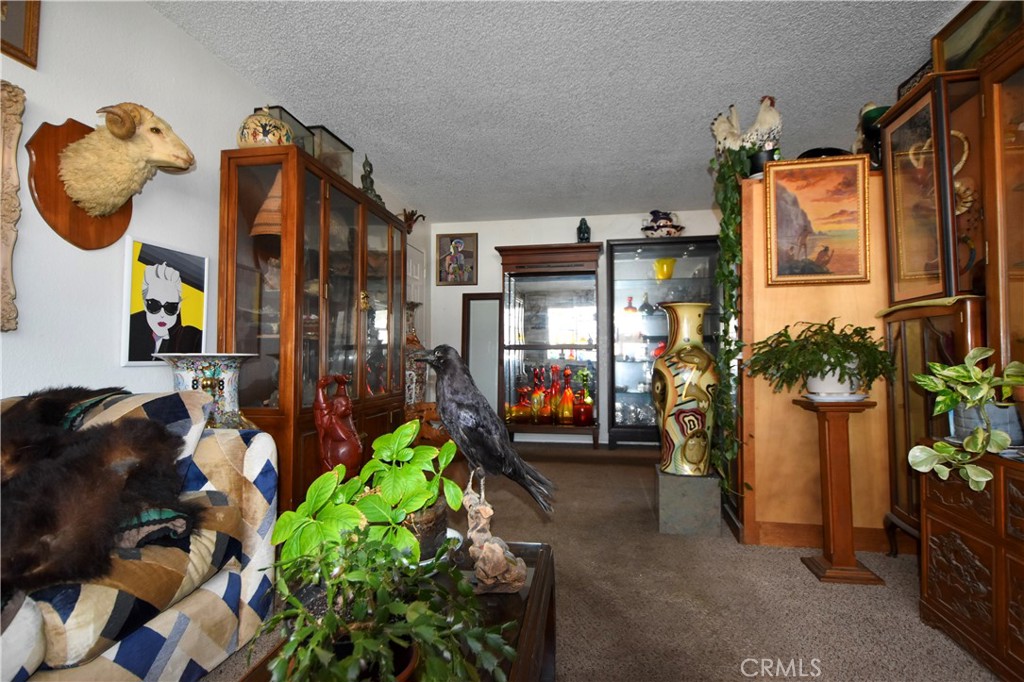 908 Miner St Property Photo 7