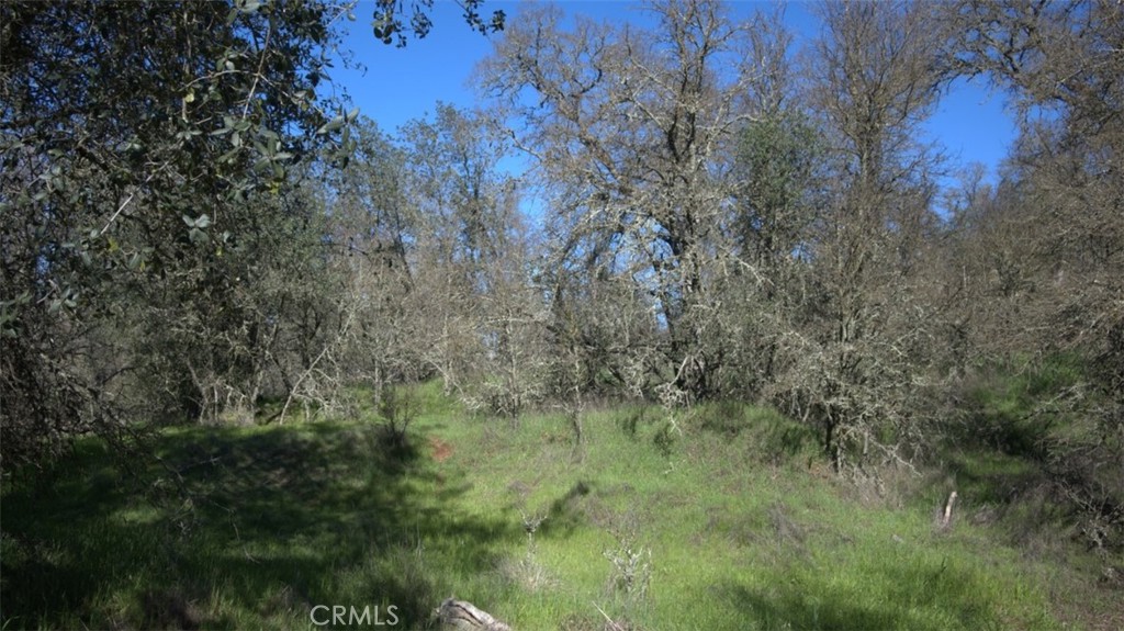 123 Rail Bridge Rd Property Photo 1