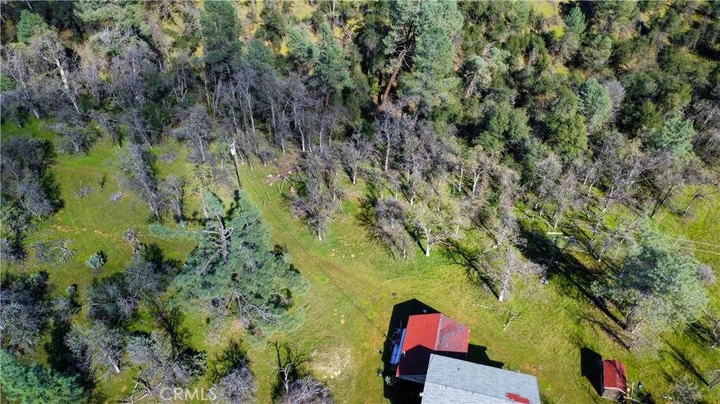 17229 Treat Avenue Property Photo 2