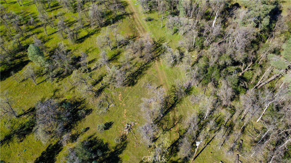 17229 Treat Avenue Property Photo 3