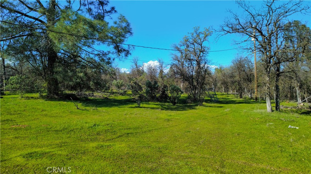 17229 Treat Avenue Property Photo 5