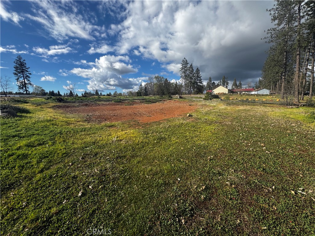 1711 Timber Property Photo 1