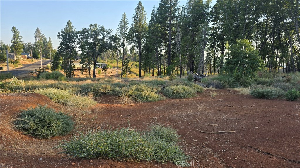 13597 W Park Drive Property Photo 6