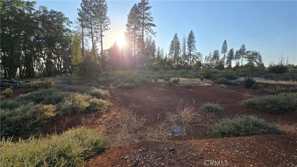 13597 W Park Drive Property Photo 7