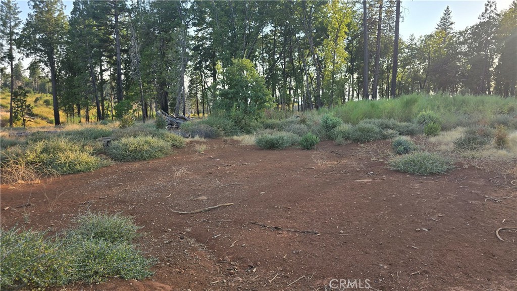 13597 W Park Drive Property Photo 8